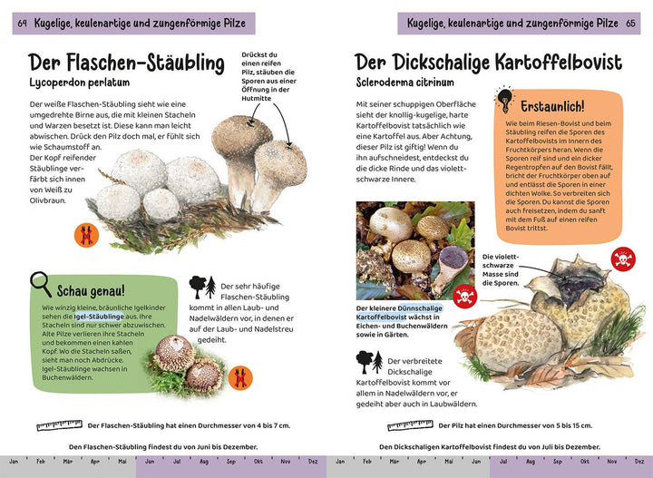 Welcher Pilz ist das? Kindernaturführer | Oftring, Bärbel | Böhning, Tanja