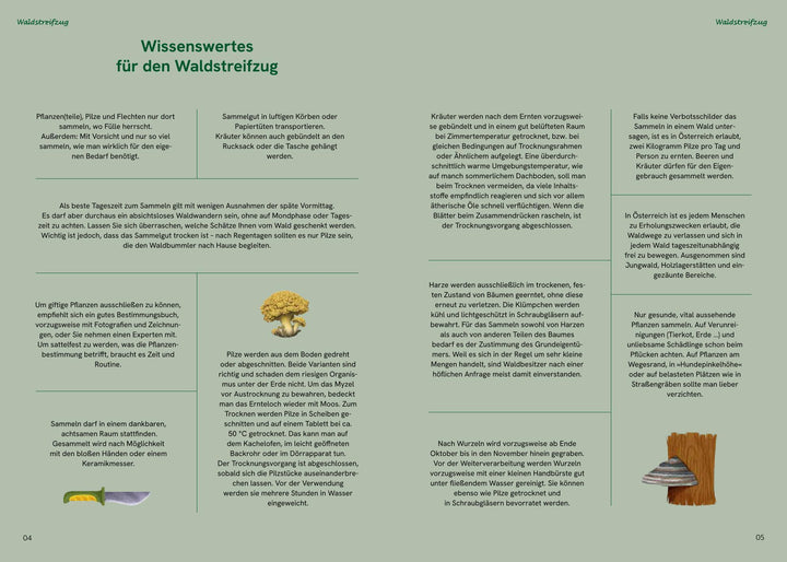 Die große Waldapotheke | Eilmsteiner, Sabine