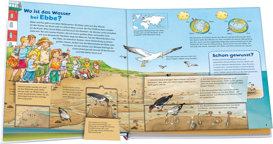 WAS IST WAS Junior Band 17. Das Meer | Braun, Christina | Schuck, Sabine