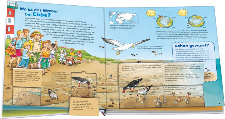 WAS IST WAS Junior Band 17. Das Meer | Braun, Christina | Schuck, Sabine