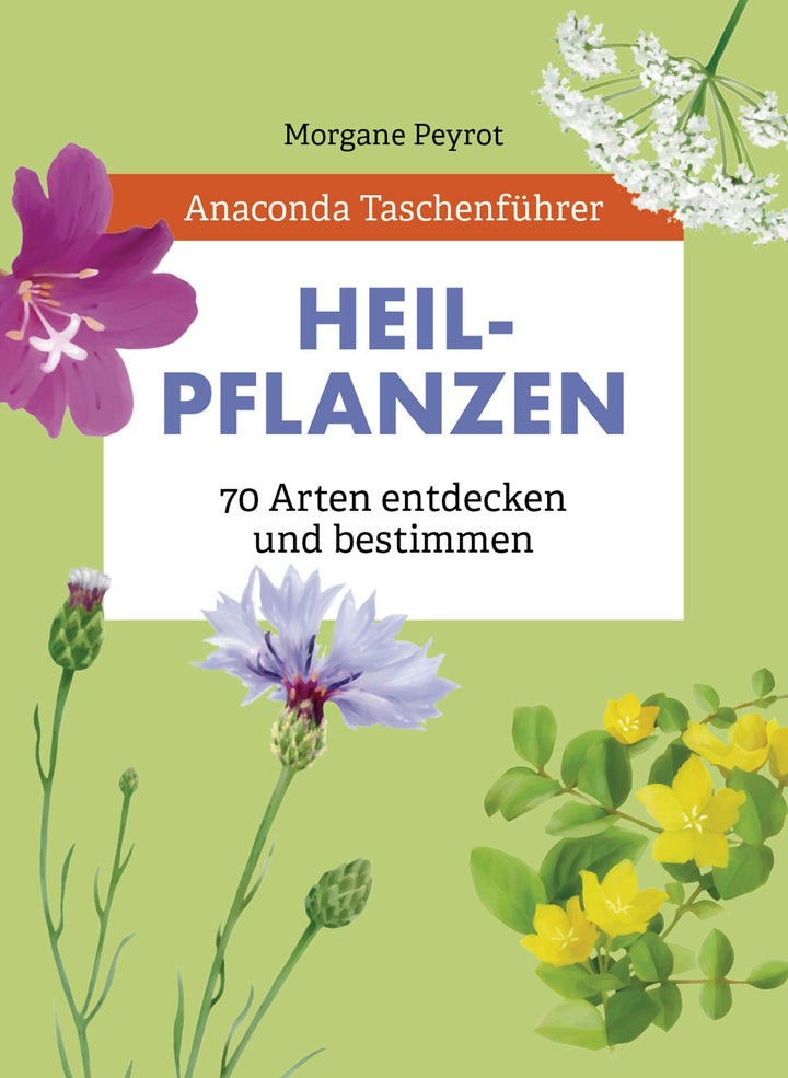 Anaconda Taschenführer Heilpflanzen. 70 Arten entdecken und bestimmen | Peyr...