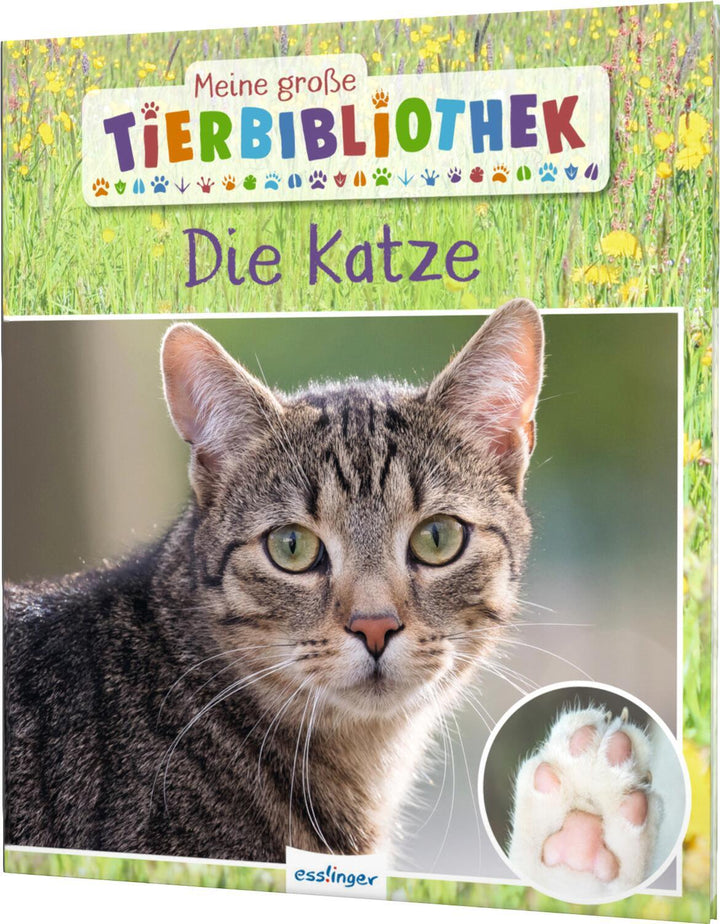 Meine große Tierbibliothek: Die Katze | Ledu-Frattini, Stéphanie