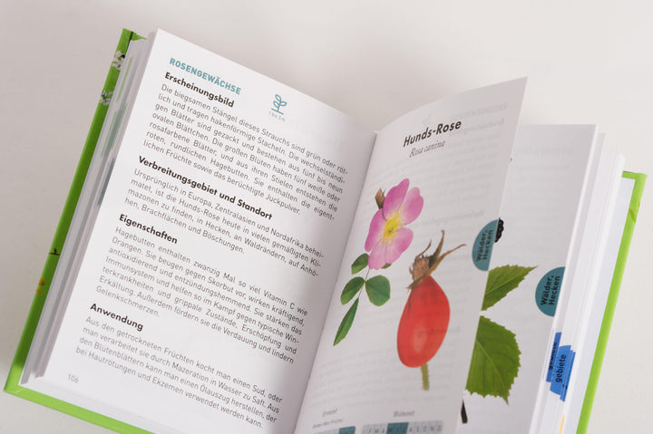 Anaconda Taschenführer Heilpflanzen. 70 Arten entdecken und bestimmen | Peyr...