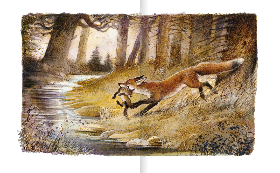 Der Findefuchs | Korschunow, Irina