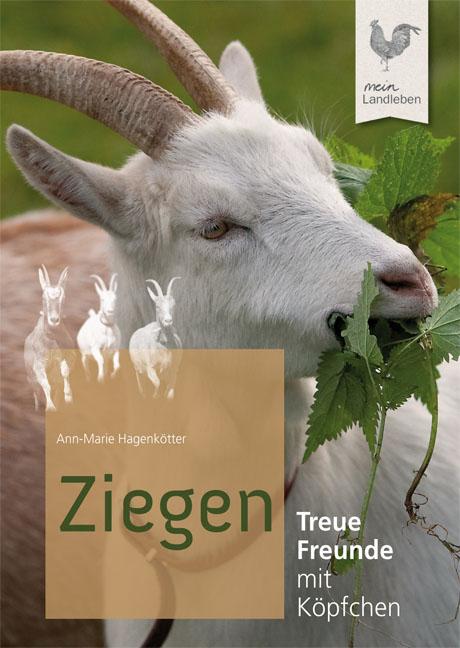 Ziegen | Hagenkötter, Ann-Marie