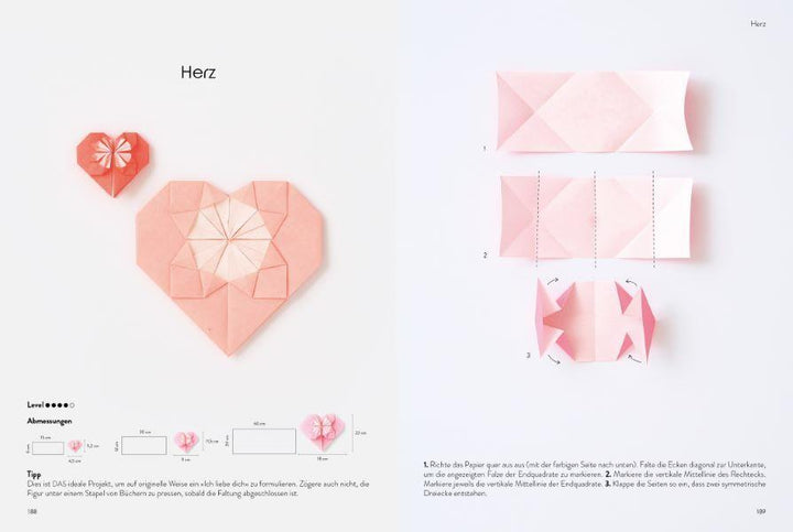 Das große Origami Buch | Klam, Adeline