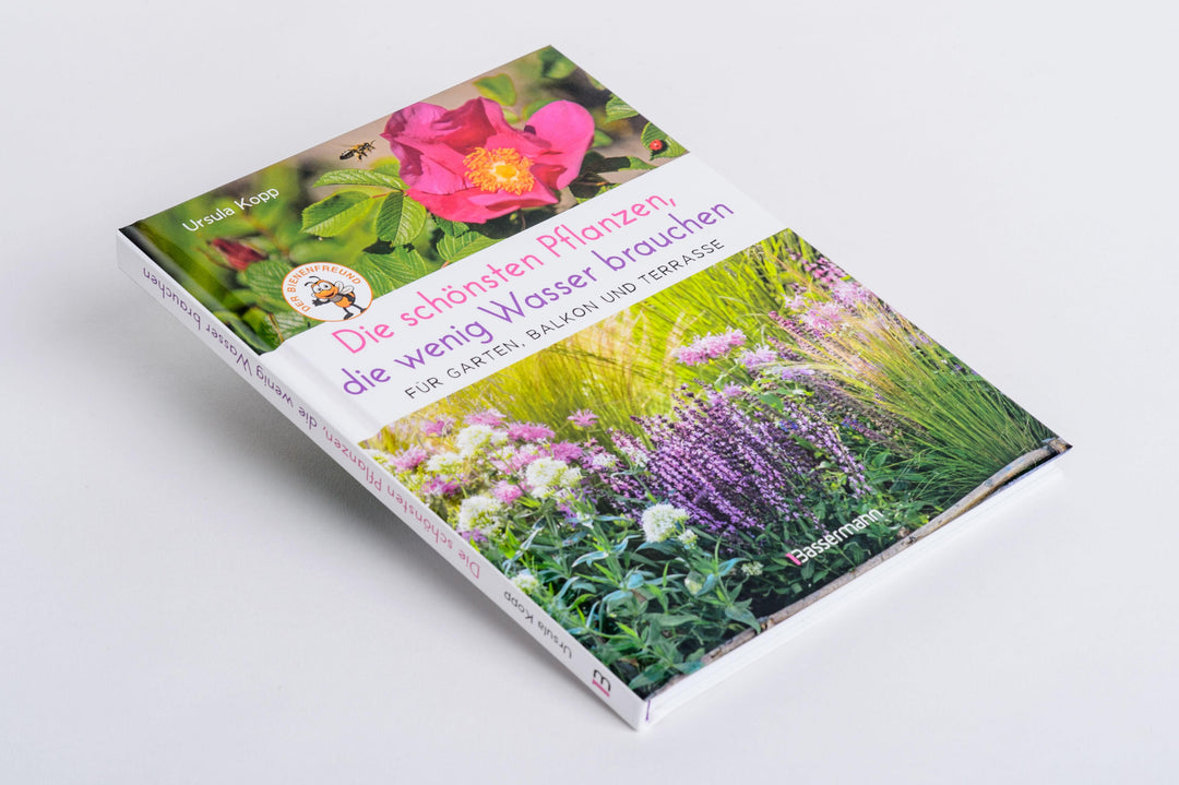 Die schönsten Pflanzen, die wenig Wasser brauchen für Garten, Balkon und Ter...