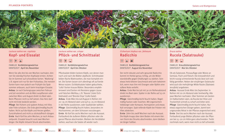 Mini-Hochbeete | Mayer, Joachim