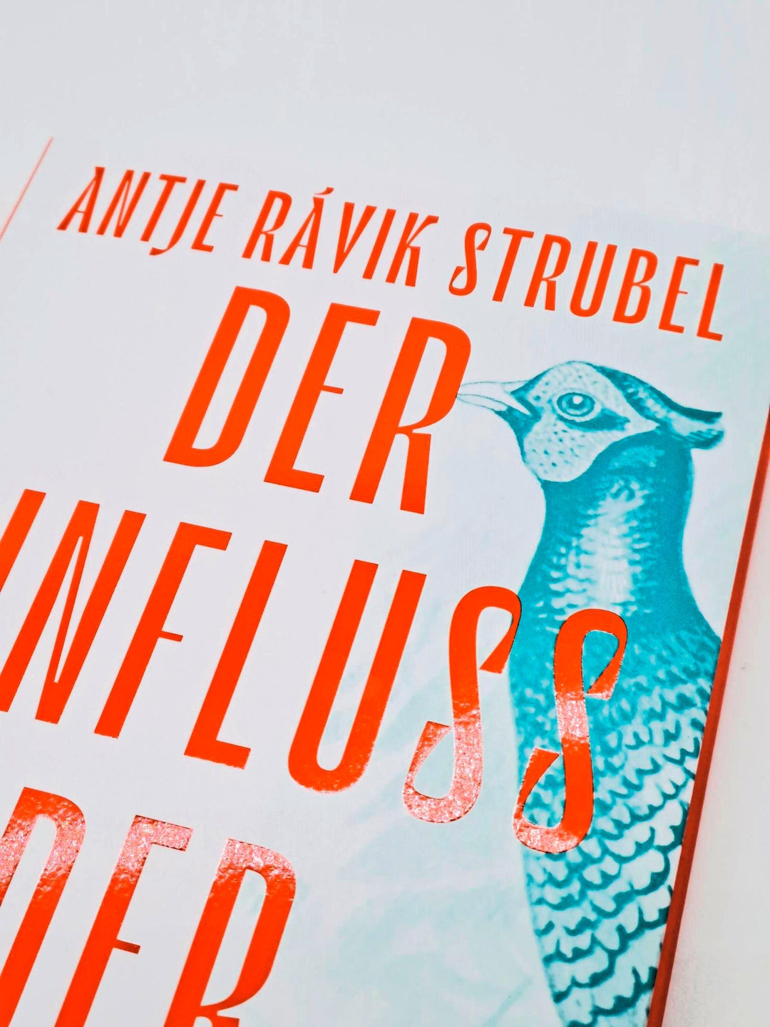 Der Einfluss der Fasane | Strubel, Antje Rávik