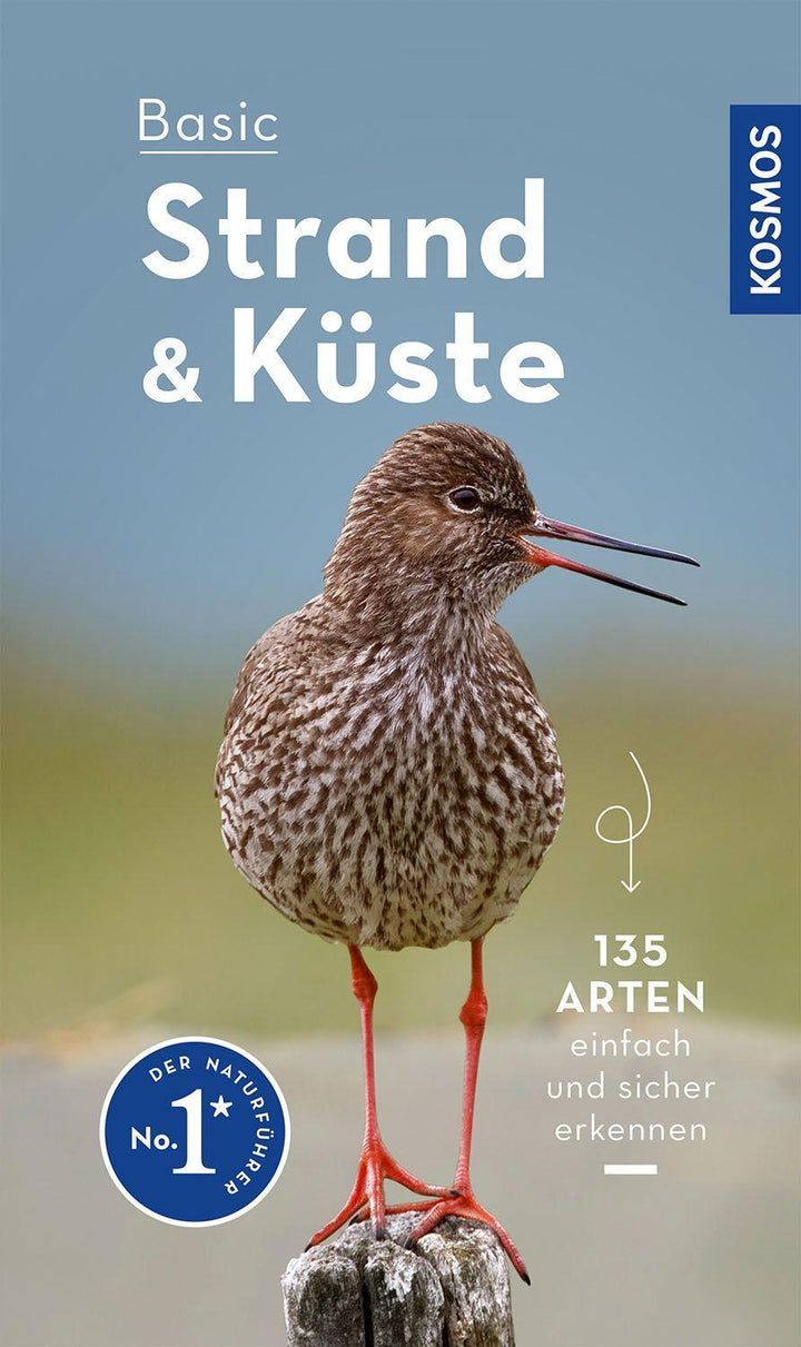 Basic Strand und Küste | Wilhelmsen, Ute