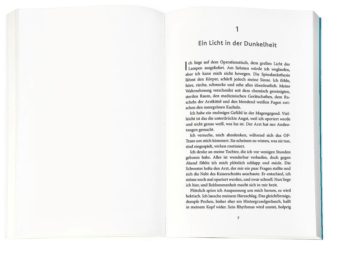 Der Gesang des Eises | Wimmer Bakic, Annabelle