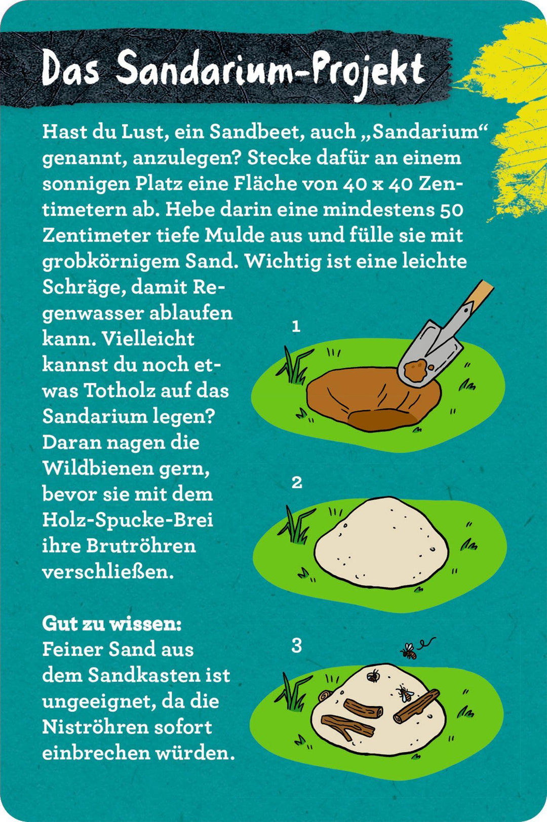 50 Garten-Projekte | Zysk, Stefanie