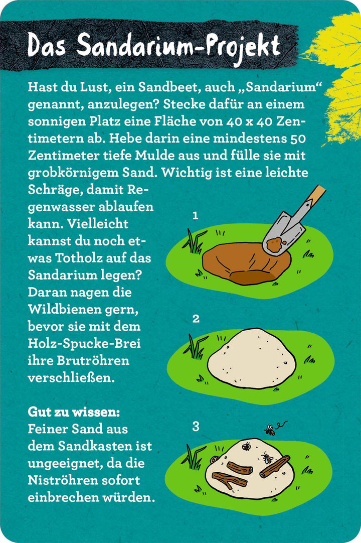 50 Garten-Projekte | Zysk, Stefanie