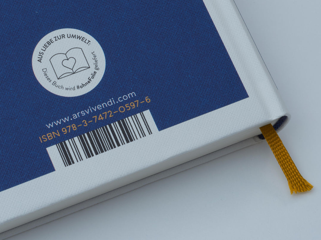 Don Fernando erbt Amerika (Erfolgsausgabe) | Arenz, Ewald