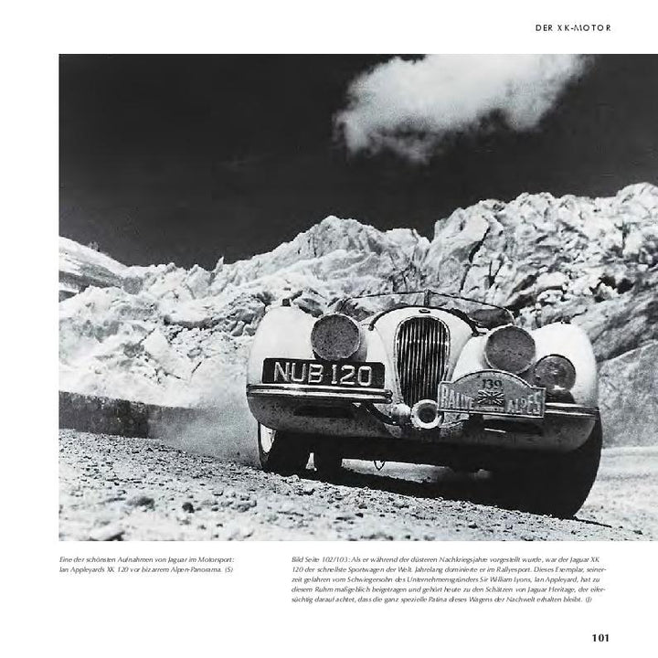 Jaguar - Die Chronik | Stertkamp, Heiner