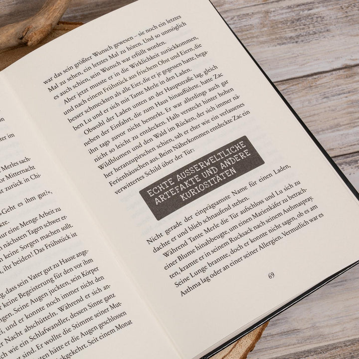 Der Fluch des Phönix | Carter, Aimée