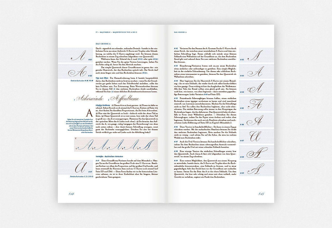 Spitzfederkalligrafie | Weigele, Stefanie