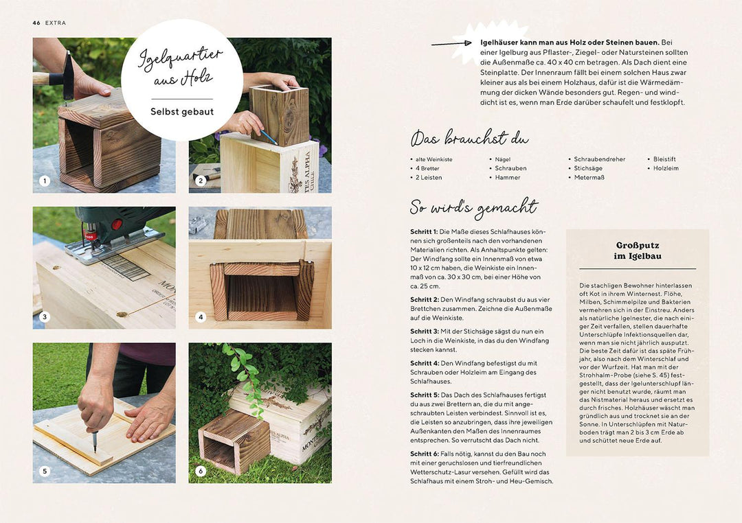 Igel im Garten | Neumeier, Monika