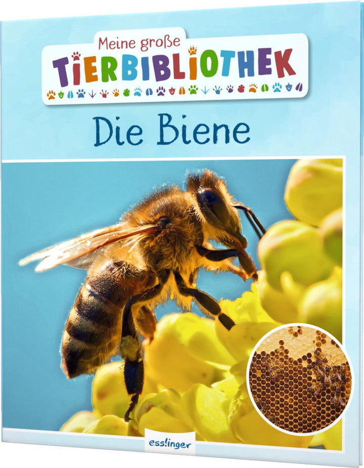 Meine große Tierbibliothek: Die Biene | Starosta, Paul