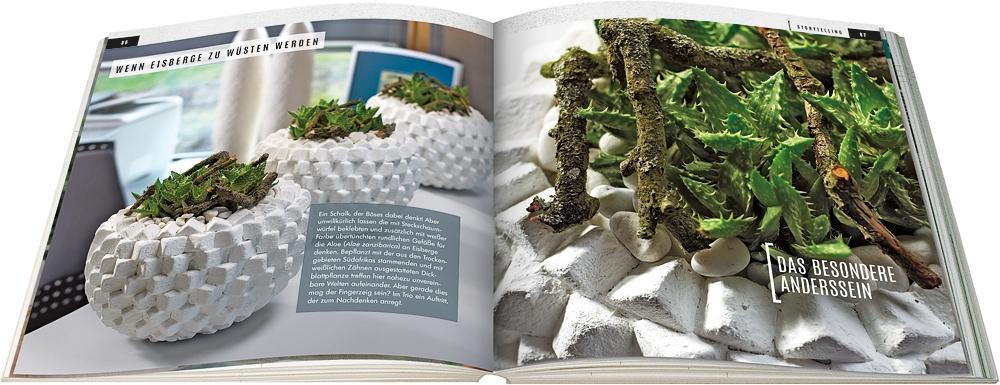 Sukkulenten mit Style | Wagener, Klaus | Team BLOOM's