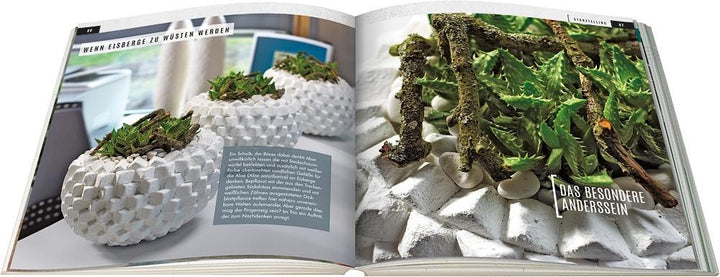 Sukkulenten mit Style | Wagener, Klaus | Team BLOOM's