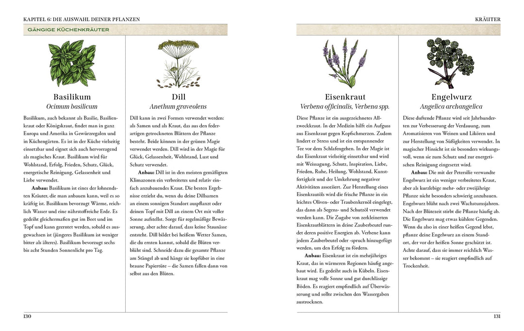 Der Garten der Grünen Magie | Murphy-Hiscock, Arin