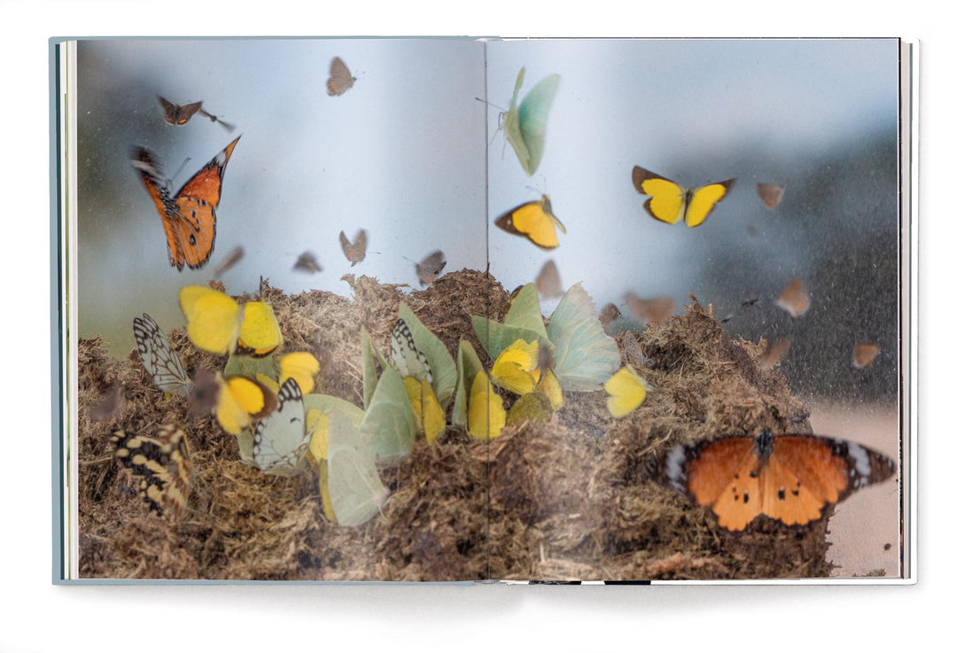 Fabian Kahl | Kahl, Fabian