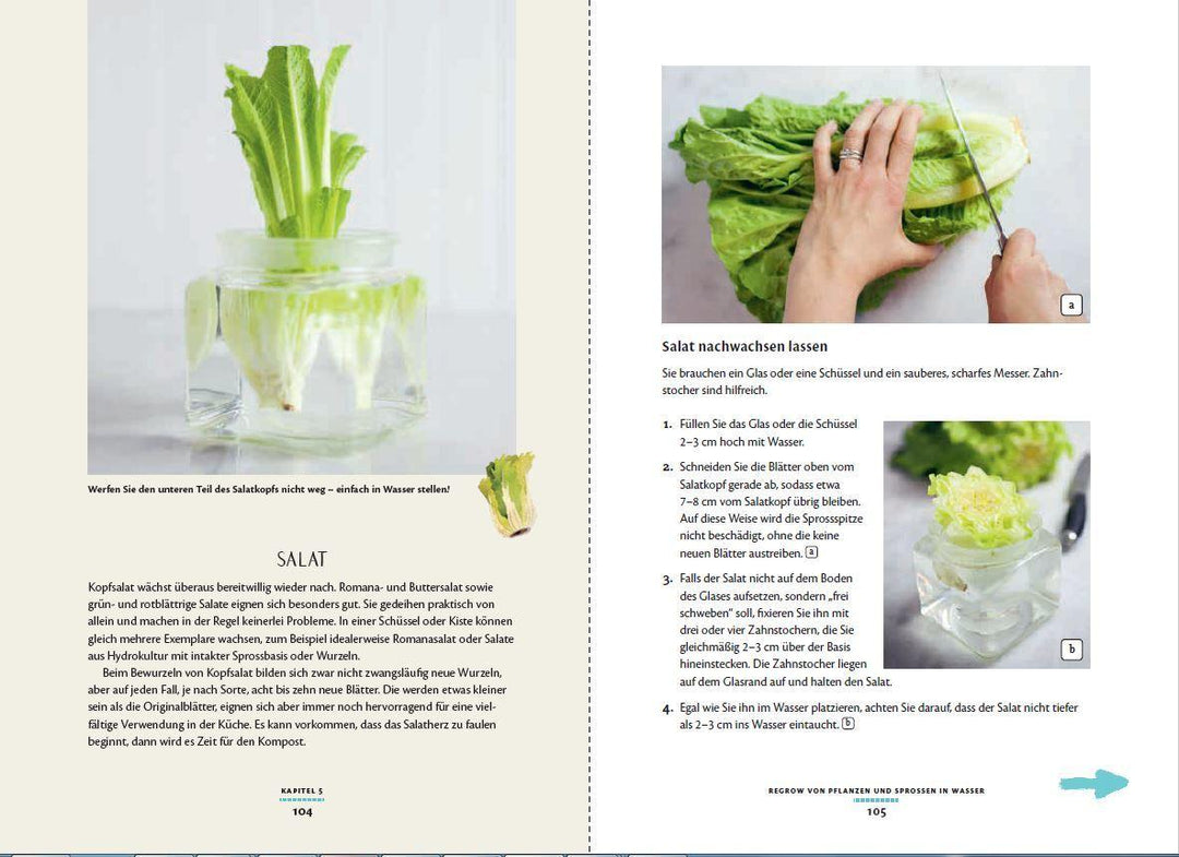 Regrow: Neue Ernte aus Gemüseresten - Von Avocado bis Zwiebel. Die unkompliz...