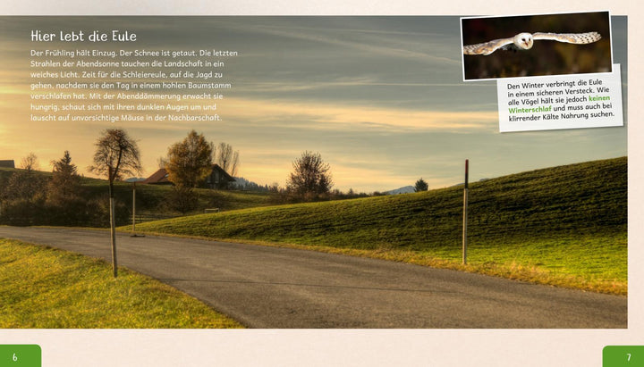 Meine große Tierbibliothek: Die Eule | Poschadel, Jens