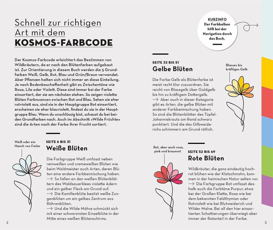 BASIC Früchte und Wildkräuter | Dreyer, Eva-Maria