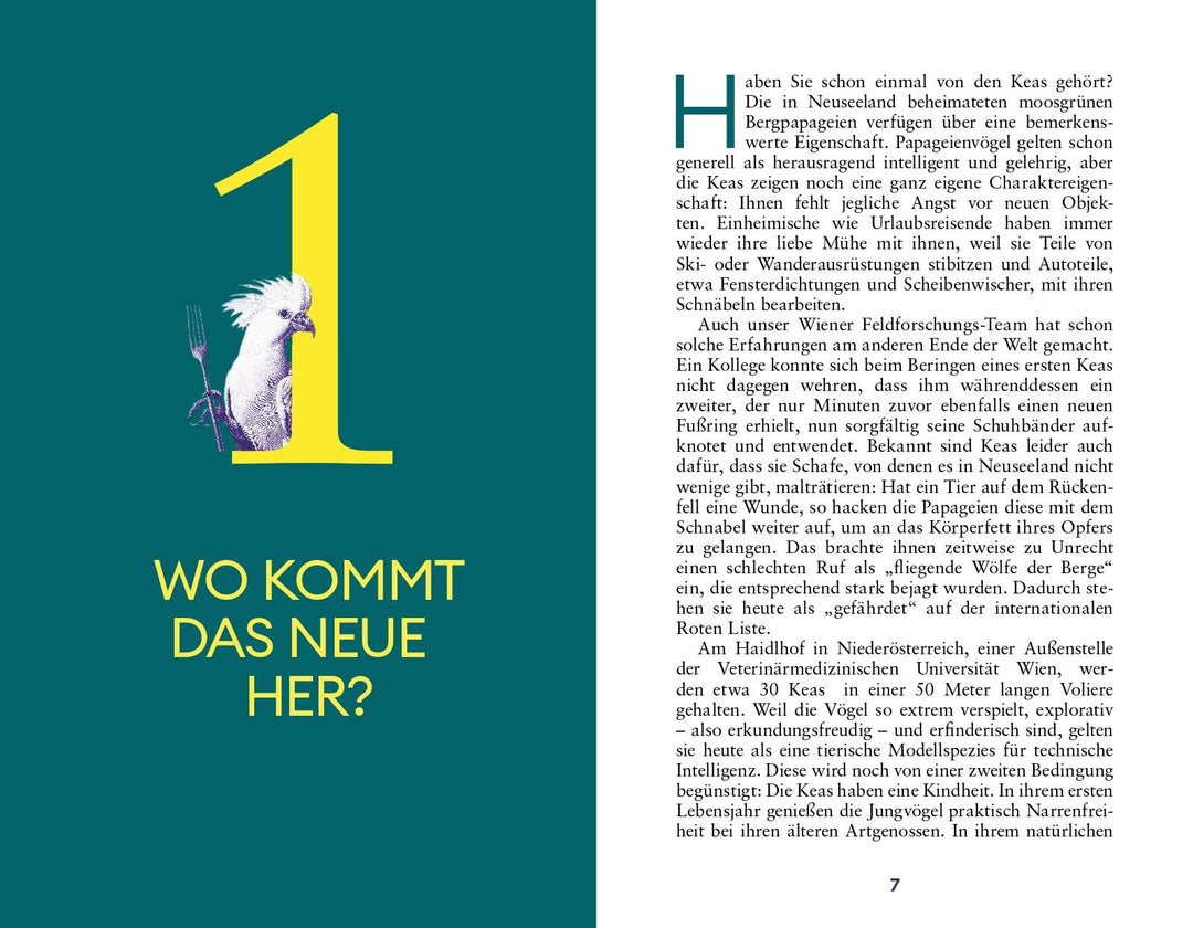 Der Erfindergeist der Tiere | Auersperg, Alice
