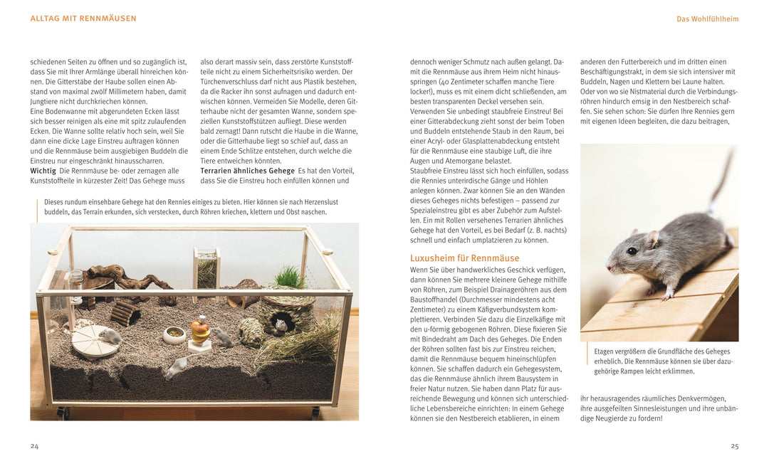 Rennmäuse | Kötter, Engelbert