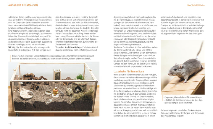 Rennmäuse | Kötter, Engelbert