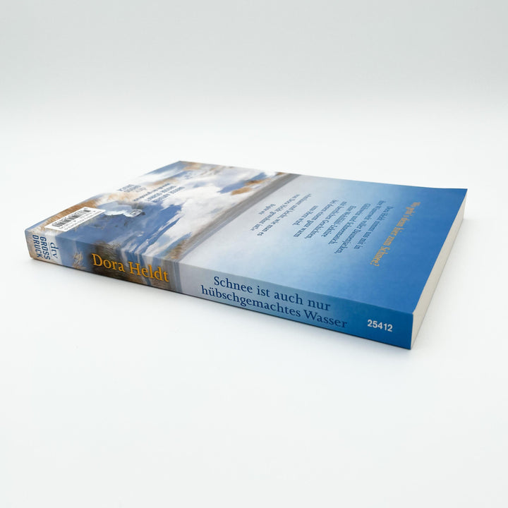 Schnee ist auch nur hübschgemachtes Wasser | Heldt, Dora