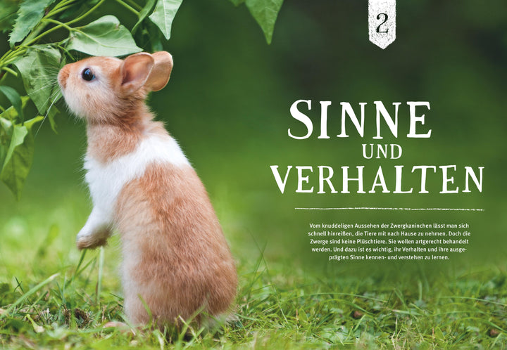 Liebenswerte Zwergkaninchen | Wegler, Monika