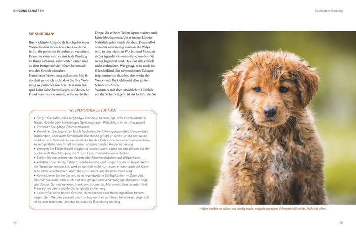 José Arces Welpenbuch | Arce, José