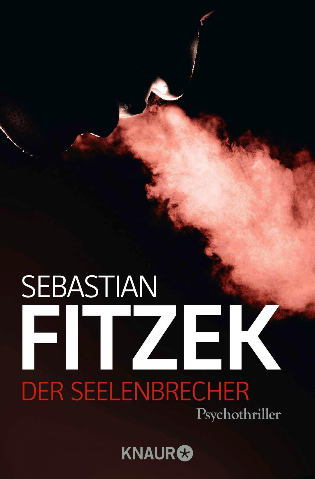 Der Seelenbrecher | Fitzek, Sebastian