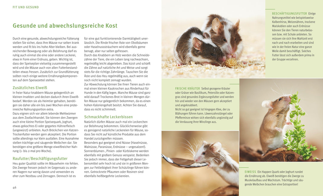 Mäuse | Beißwenger, Alexandra