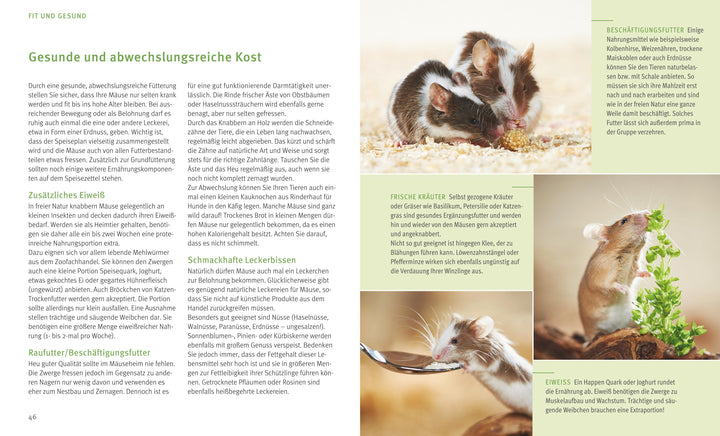 Mäuse | Beißwenger, Alexandra