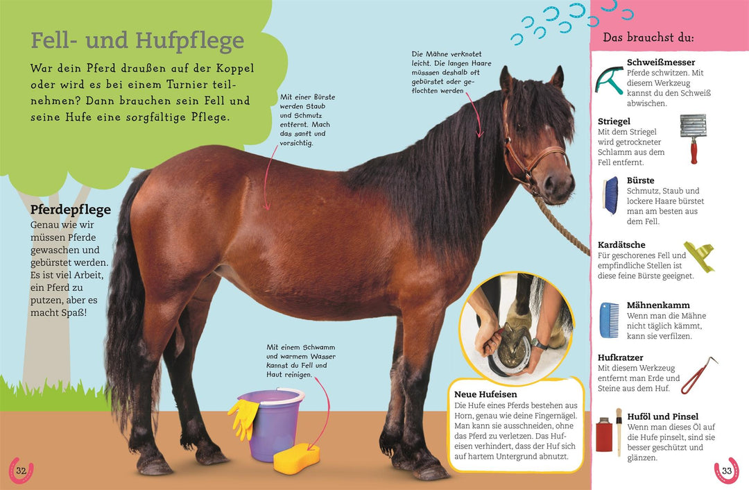 Pferde und Ponys | -