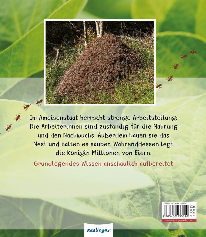 Meine große Tierbibliothek: Die Ameise | Gutjahr, Axel