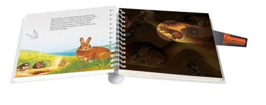 Tiere unter der Erde | -