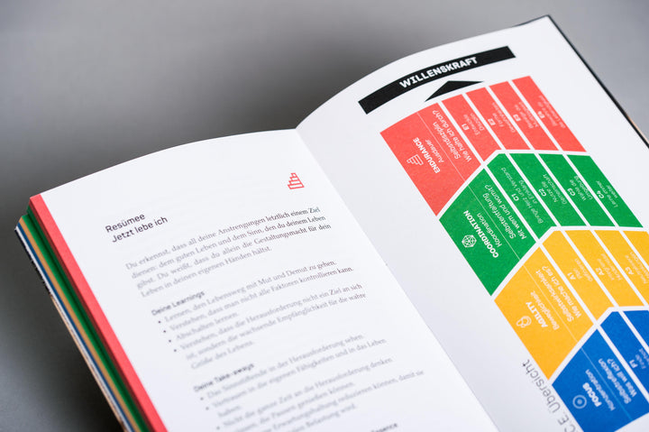 F.A.C.E. the Challenge | Klitschko, Wladimir | Kiel, Tatjana