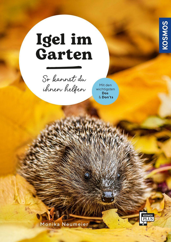 Igel im Garten | Neumeier, Monika