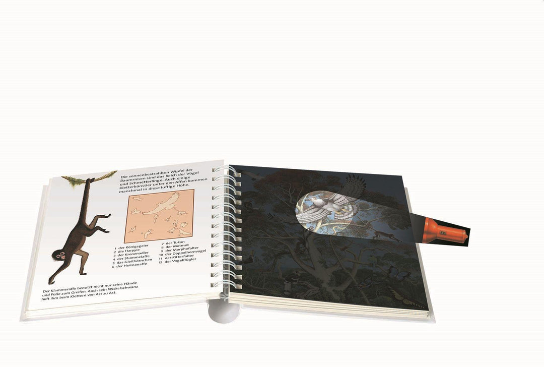 Leben im Dschungel | -