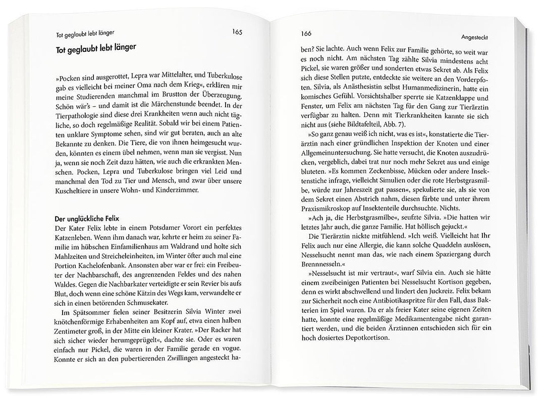 Das Kuscheltierdrama | Gruber, Achim