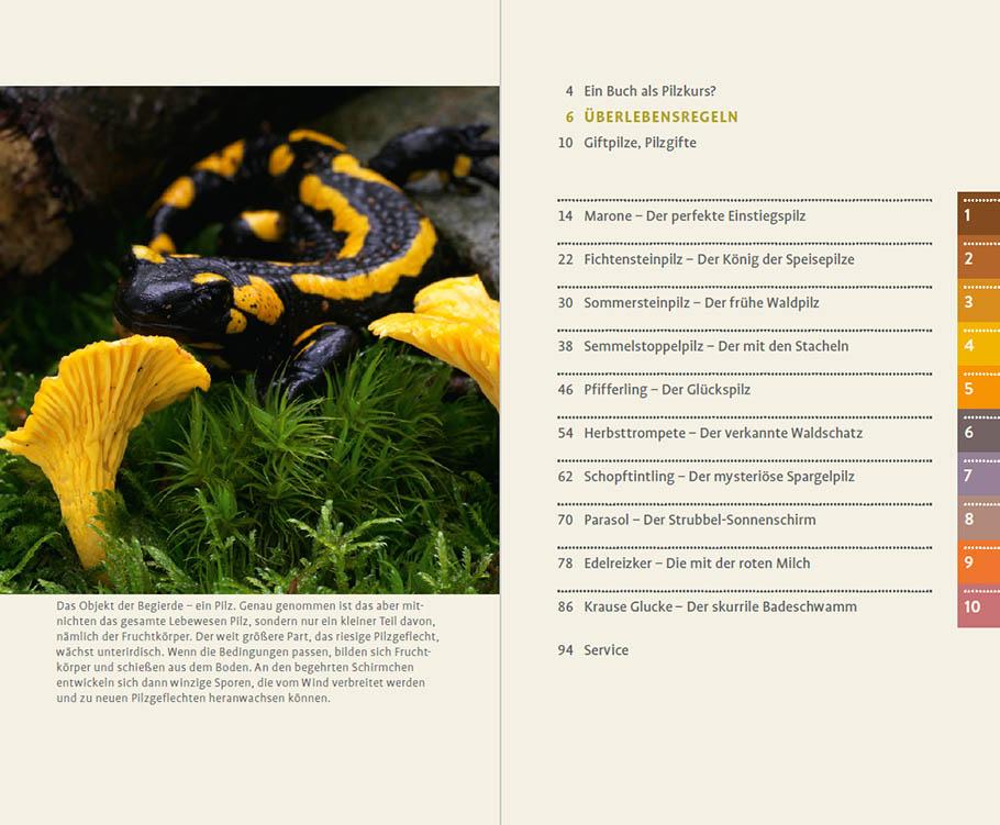 10 Pilze | Schuster, Gerhard | Schneider, Christine