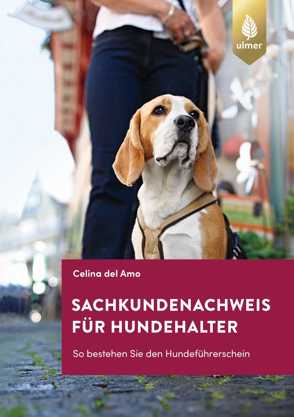 Sachkundenachweis für Hundehalter | Del Amo, Celina