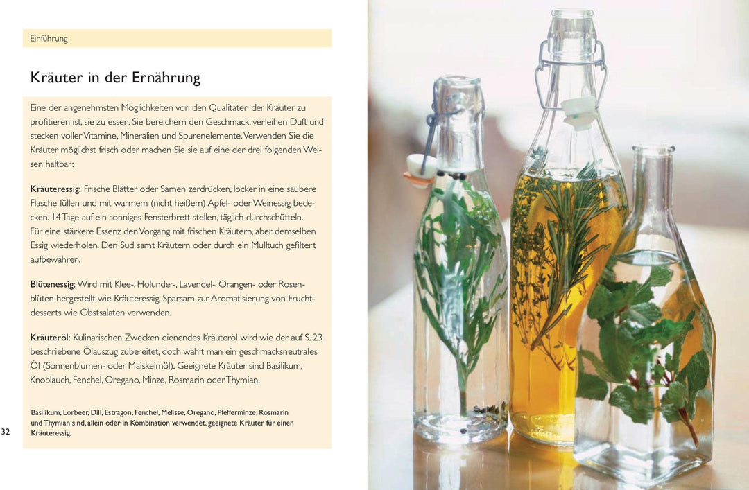 Handbuch Kräuter | Bremness, Lesley