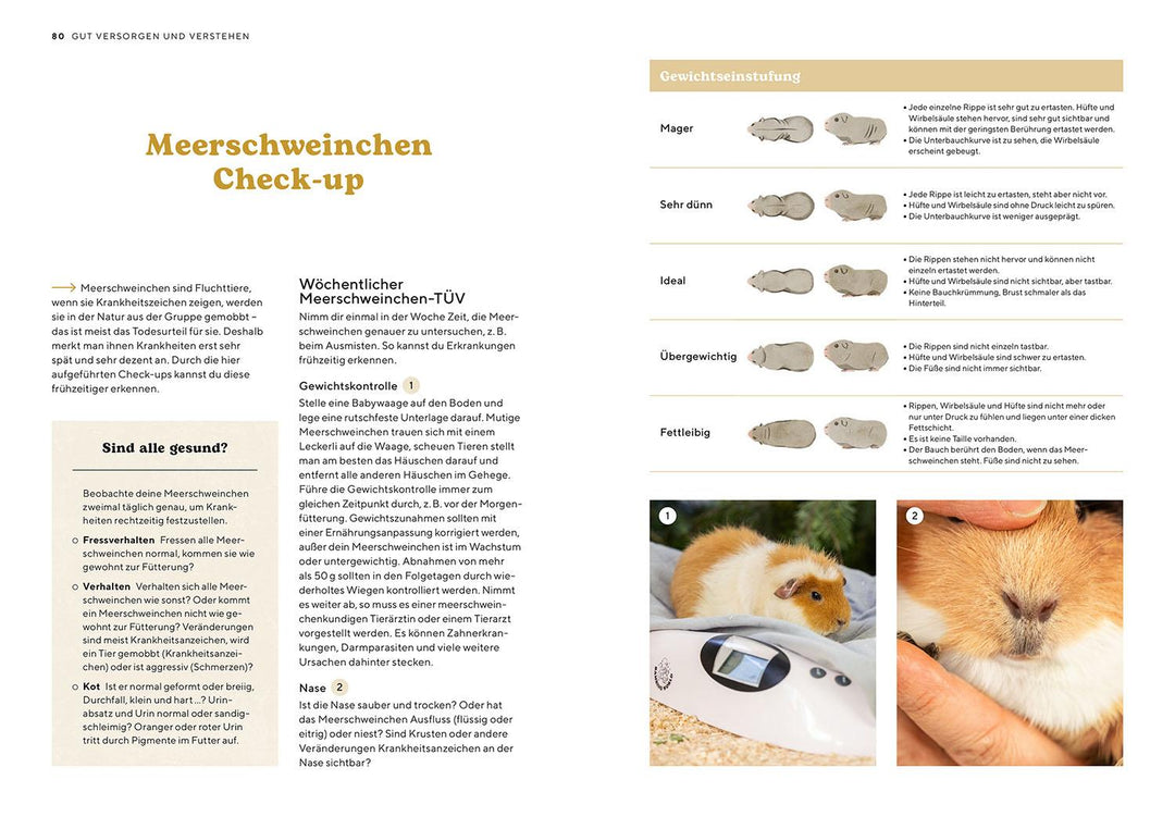 Meerschweinchen | Schillinger, Viola